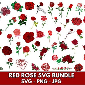Red rose clipart | Red rose Svg | Rose svg bundle | Red rose Png | Bouquet Svg | Flowers svg bundle | Roses template svg | Rose Svg designs
