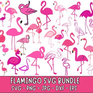 Flamingo SVG Bundle: Cut Files for Cricut, Silhouette (Digital Download