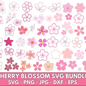 Cherry Blossom Svg, Cherry Blossom Png, Sakura Blossom Svg, Cherry Flower Svg, Pink Flowers Svg,Cherry Branch Png,Botanica Png,Sakura Flower