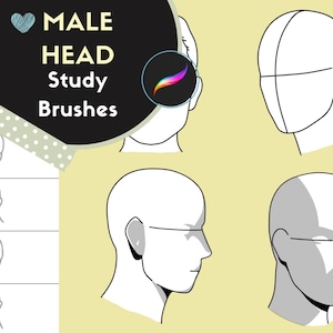 May include: A digital illustration of a male head with different angles and construction lines. The image is titled "Male Head Study Brushes".