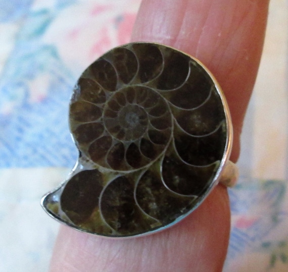 RING -  AMMONITE  - FOSSIL - Sterling Silver - 92… - image 1
