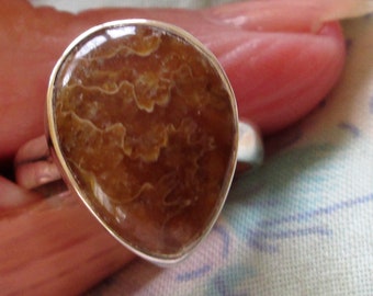 RING - Sutured  AMMONITE  - FOSSIL  - Sterling Silver - 925 - Vintage - Size 7  brown135