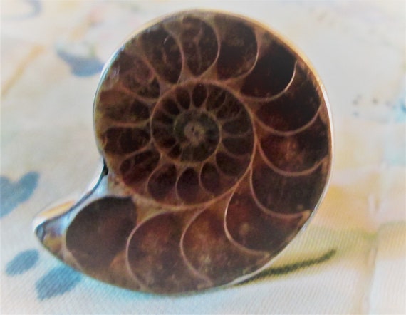 RING -  AMMONITE  - FOSSIL - Sterling Silver - 92… - image 3