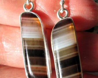 EARRINGS - Black  BOTSWANA Banded - AGATE  - 925 - Sterling Silver - French hook - earrings464