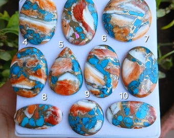 Handmade Spiny Oyster Turquoise Cabochons: AAA Quality Gemstone Mix