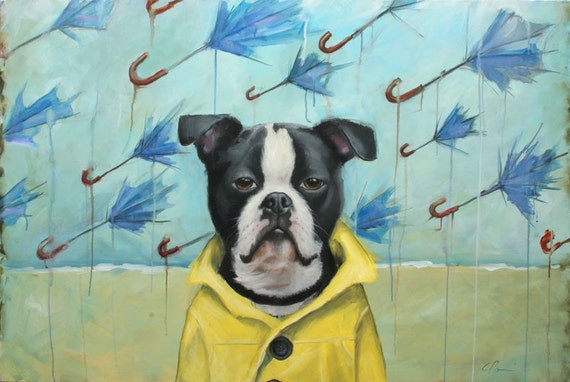 boston terrier raincoat