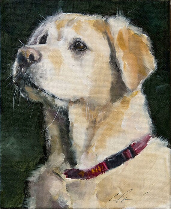 Yellow Labrador Golden Retriever Dog Puppy 8 X Etsy