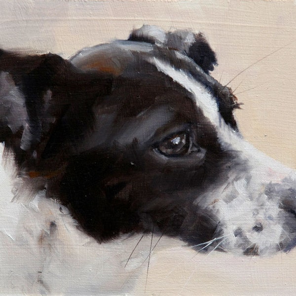 Black and White Jack Russell Terrier Mix, Profile, Painterly, Realism - Original Oil Painting by Clair Hartmann
