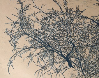 Tumbleweed linocut Blue