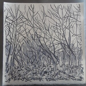 Thicket, linocut Print, printmaking, lino print, relief print, hand pulled, bramble image 3