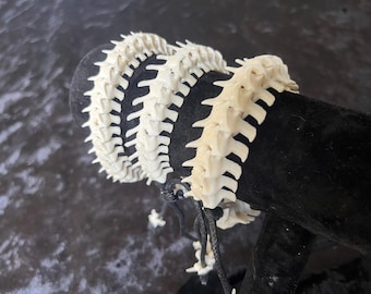 Pulseira de contas brancas com espinhos de osso de cobra, vértebras pontiagudas, espinha dorsal real.