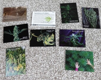 Vintage 1996 Inline Hemp Cards Series II The Marijuana Stories Trading Card Lot