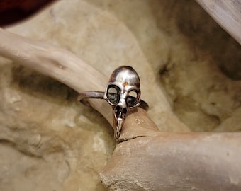 Anillo de calavera de cuervo de plata