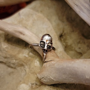 Silver Raven Skull Ring