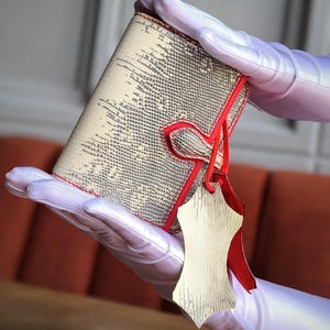 May include: A cream-coloured wallet with a snakeskin pattern and red trim. The wallet is held by gloved hands and has a red tie closure and a cream-coloured leather tag attached.