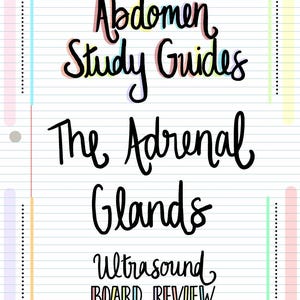 以下が含まれることがあります： カラフルな線が引かれたノートのページに、黒で手書きされたタイトル「Abdomen Study Guides The Adrenal Glands Ultrasound Board Review」が書かれています。