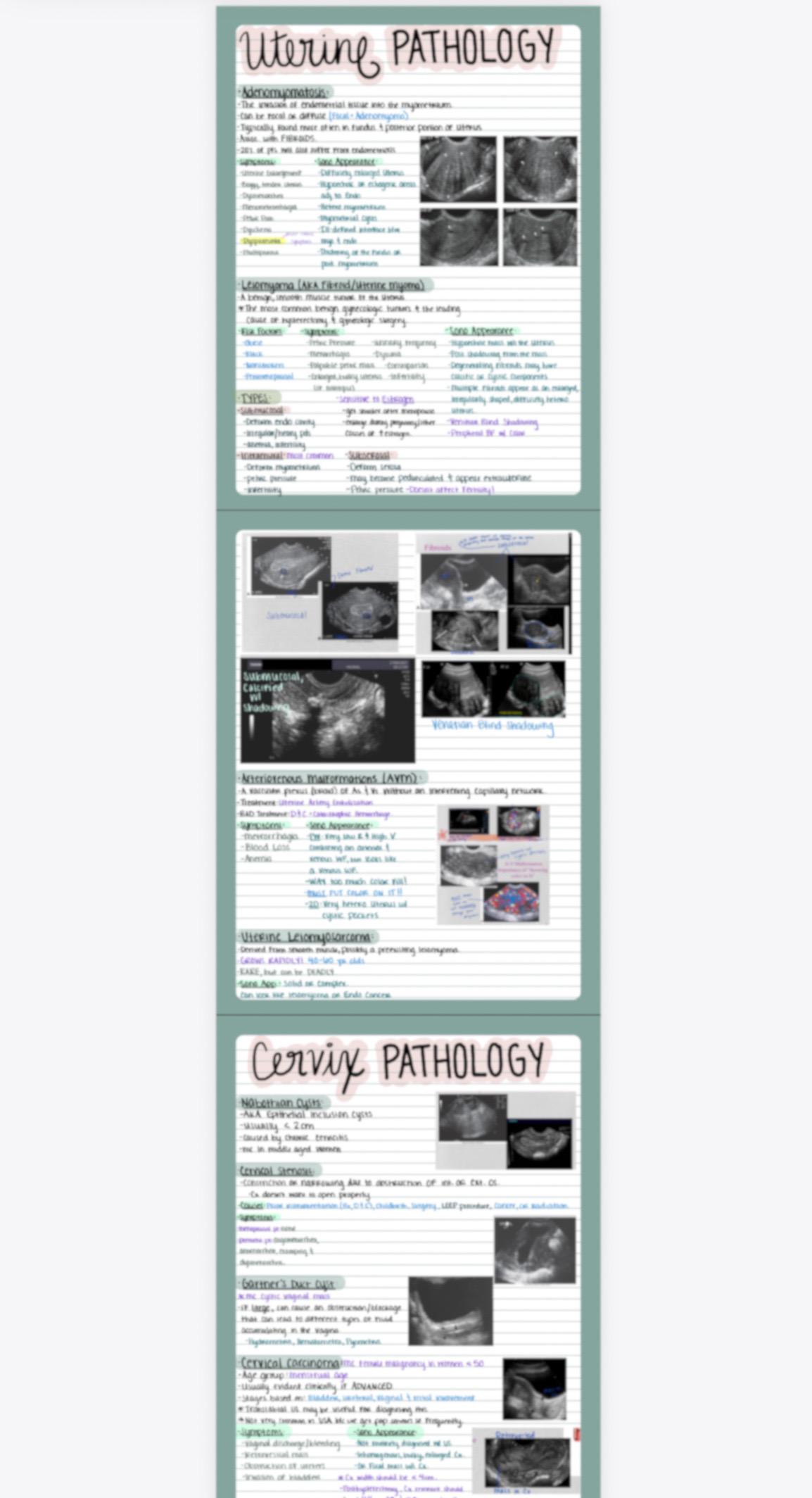 OB/GYN Complete Study Bundle for ARDMS Board Exam - Etsy