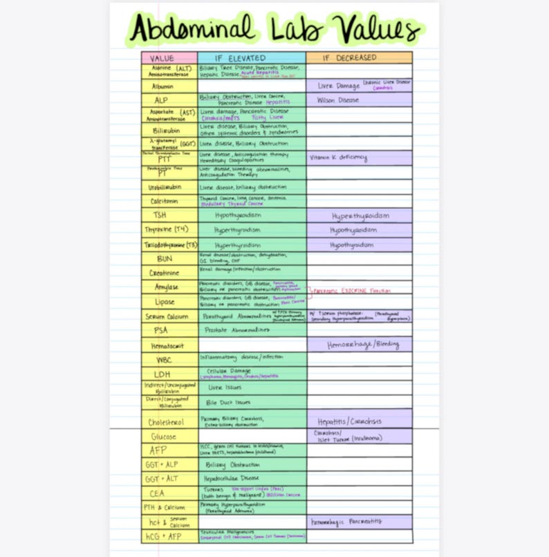 Lab Values Cheat Sheet - Etsy