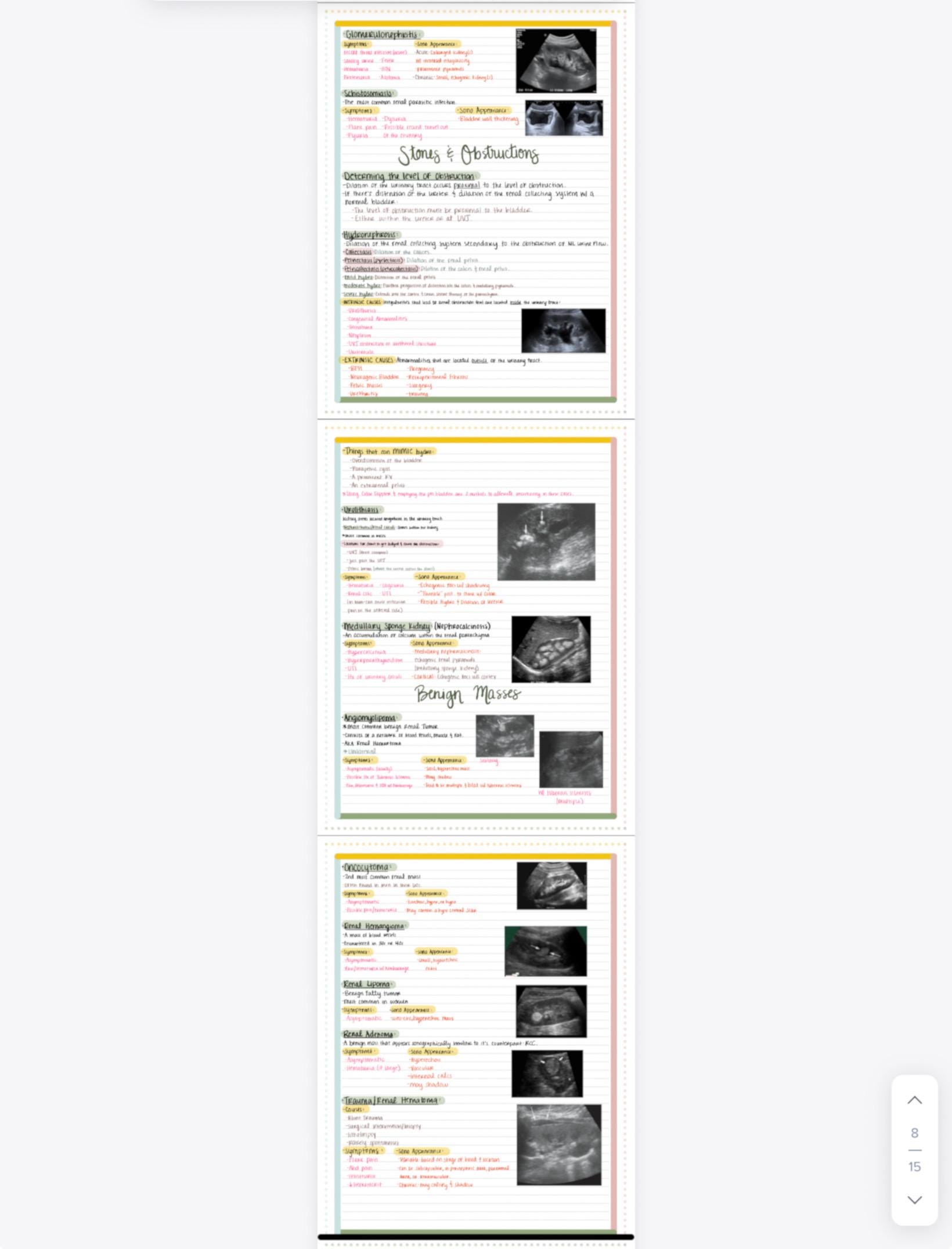 URINARY SYSTEM STUDY GUIDE ANSWER KEY visual data 7