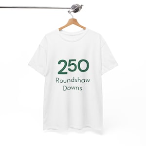 Park Run 250 - Milestone Venue T-shirt