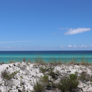 30A, Deer Lake State Park, South Walton, sugar-white sands, crystal-clear emerald waters, Florida, instant download, digital photo, nature