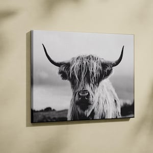 Bison Wall Art, Black and White Print, Bison Art Print, American Bison Canvas, Ready to Hang, Farmhouse Decor, Buffalo Print, Rustic Decor