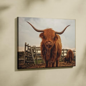 Gold Framed Bison Art Canvas, Bison Wall Art, Black and White Print, American Bison Canvas, Ready to Hang, Farmhouse Decor, Buffalo Decor