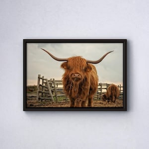 Black Framed Bison Canvas, Bison Wall Art, American Bison Canvas, Ready to Hang, Farmhouse Decor, Buffalo Print, Farmhouse Wall Art, Poster