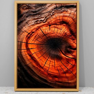 Tree Rings Canvas Print: Natural Wood Wall Art