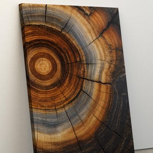 Tree Rings Framed Canvas Art: Rustic Farmhouse Wall Decor