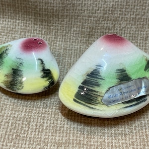 Vintage 1950&#39;s Clam Salt and Pepper Shakers/Clam S & P Shakers/Home Decor/Kitchen Decor/Shakers/1950&#39;s Clam Souvenir Salt and Pepper Shakers