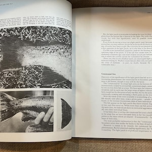 The Trout And The Fly: A New Approach - John Goddard - Foto 13