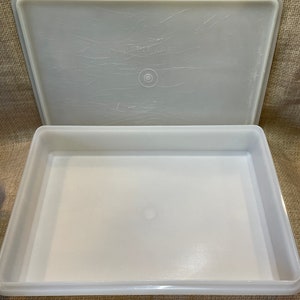 Tupperware Designer Snack Plastic Rectangular Container 2.1 L (White)