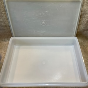 専用です　　容器 88 89 90 Kawasaki Ninja ZX-10 ZX1000 Tomcat Cylinders Jug | eBay