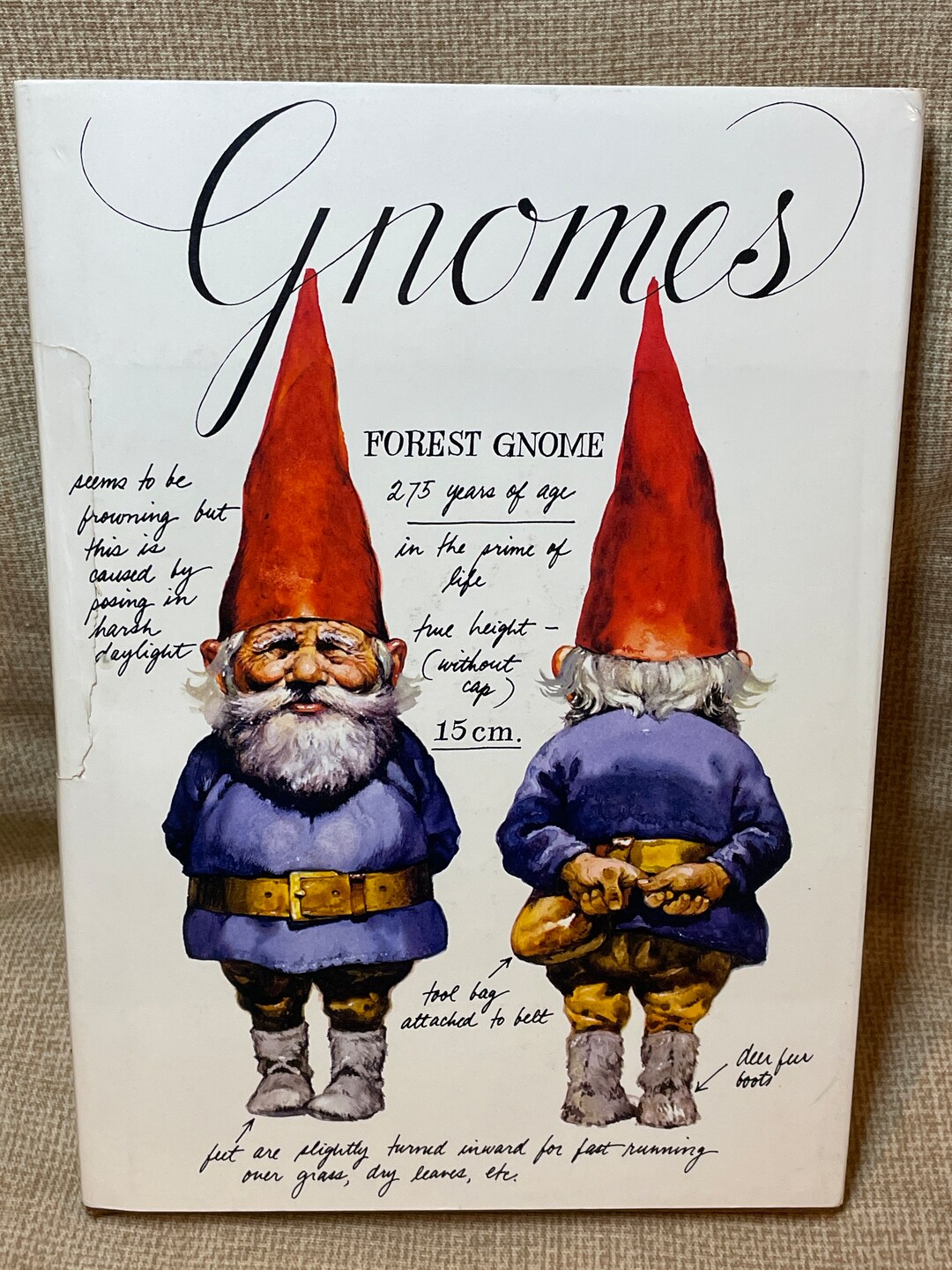 Vintage 1977 Hardback Gnomes/gnomes Forest Gnomes/wil Huygen/rien