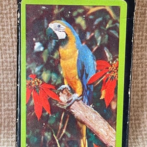 Vintage 1950er Jahre Florida Parrot Spielkarten/Kartenspiel/Spieleabend/Karte/Souvenir Spielkarten/Florida Bilder Spielkarten/Kitschige Karten