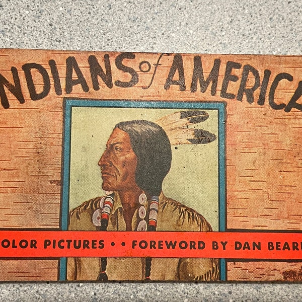 Vintage RARE 1935 Indians of America by Lillian Davids Fazzini/94 Color Pictures/Rare Native America Book/Pocket Book 1935/Whitman Publish