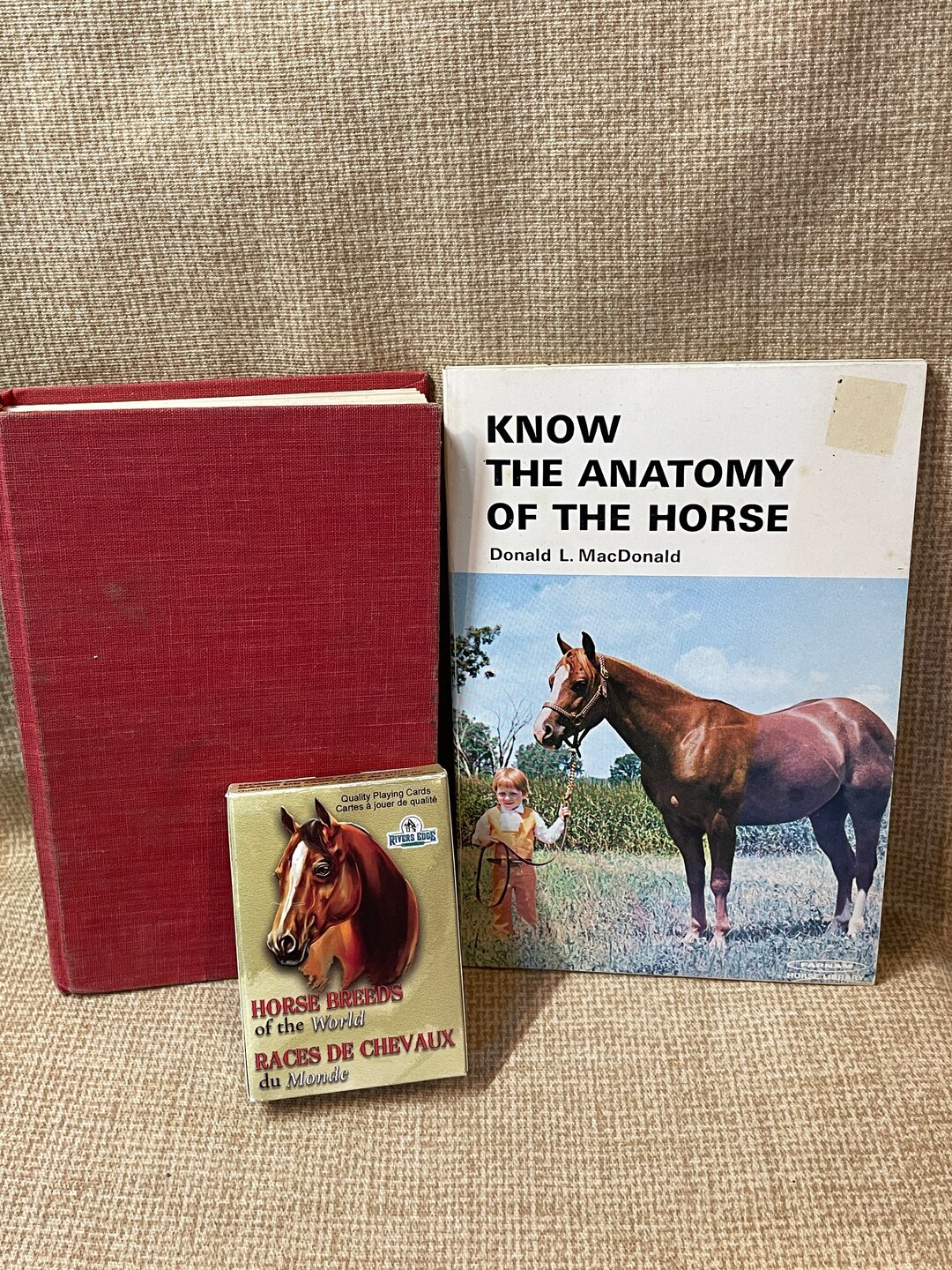 Vintage 1977 Horse Books Set of 2/know the Anatomy of the Horse Book