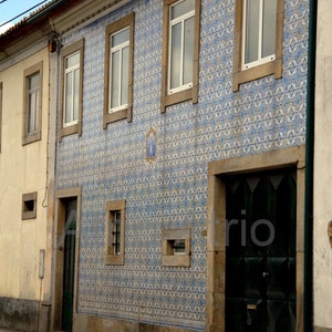 May include: A building with a blue and white tiled facade. The building has several windows and a green door. The tiles are arranged in a repeating pattern.