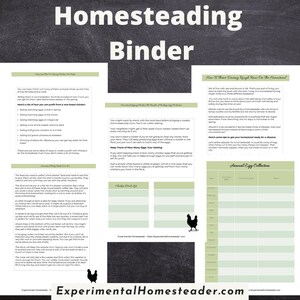 May include: A printed binder page with the title "Homesteading Binder" at the top. The page includes text about raising chickens, egg collection, and a chicken wish list. The page has a black and white chicken graphic.