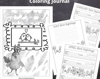 Bird Feeders Coloring - Etsy