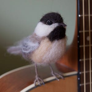 Needlefelt Chickadee, Black Capped, Life Size Songbird image 3