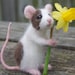 see more listings in the Needle Felted Animals section