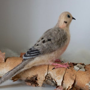 Mourning Dove Needle felted