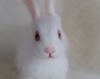 Albino Bunny Etsy