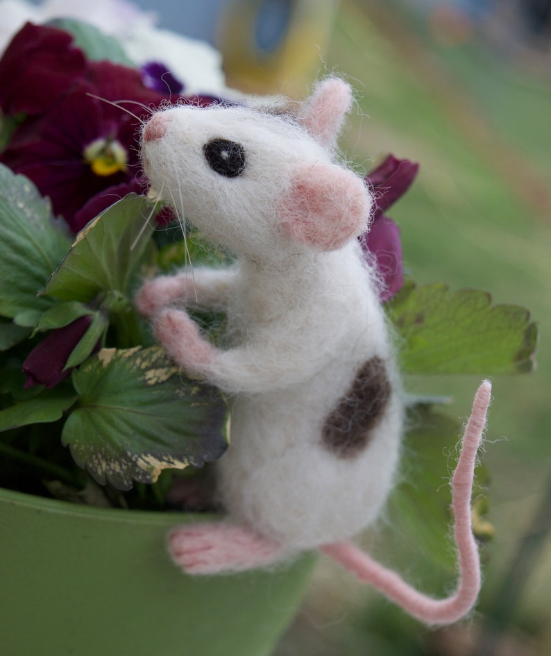 Needle Felted Pet Mouse Custom Poseable Realistic Life Sized Etsy Needle Felted Pet Mouse Custom Poseable Realistic Life Sized Etsy