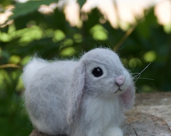 Cute Baby Bunnies With Floppy Ears Baby Bunny Gray Floppy Eared