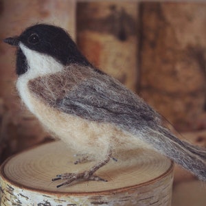 Needlefelt Chickadee, Black Capped, Life Size Songbird image 4