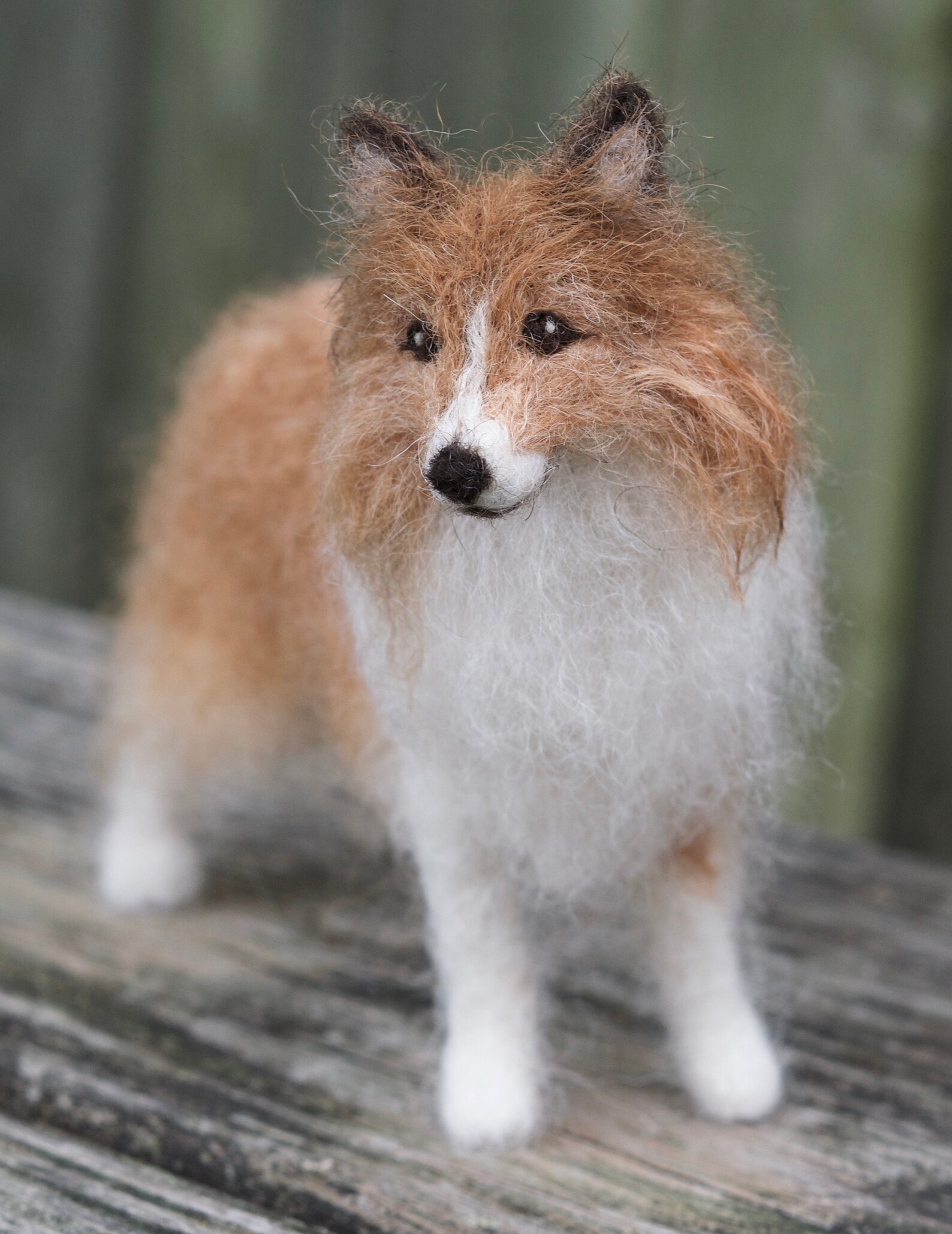 Needle Felted Dog Pet Portrait Sheltie Shetland Sheepdog Etsy