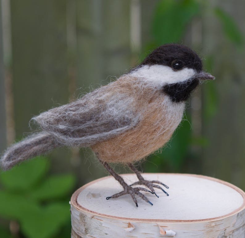 Needlefelt Chickadee, Black Capped, Life Size Songbird image 10